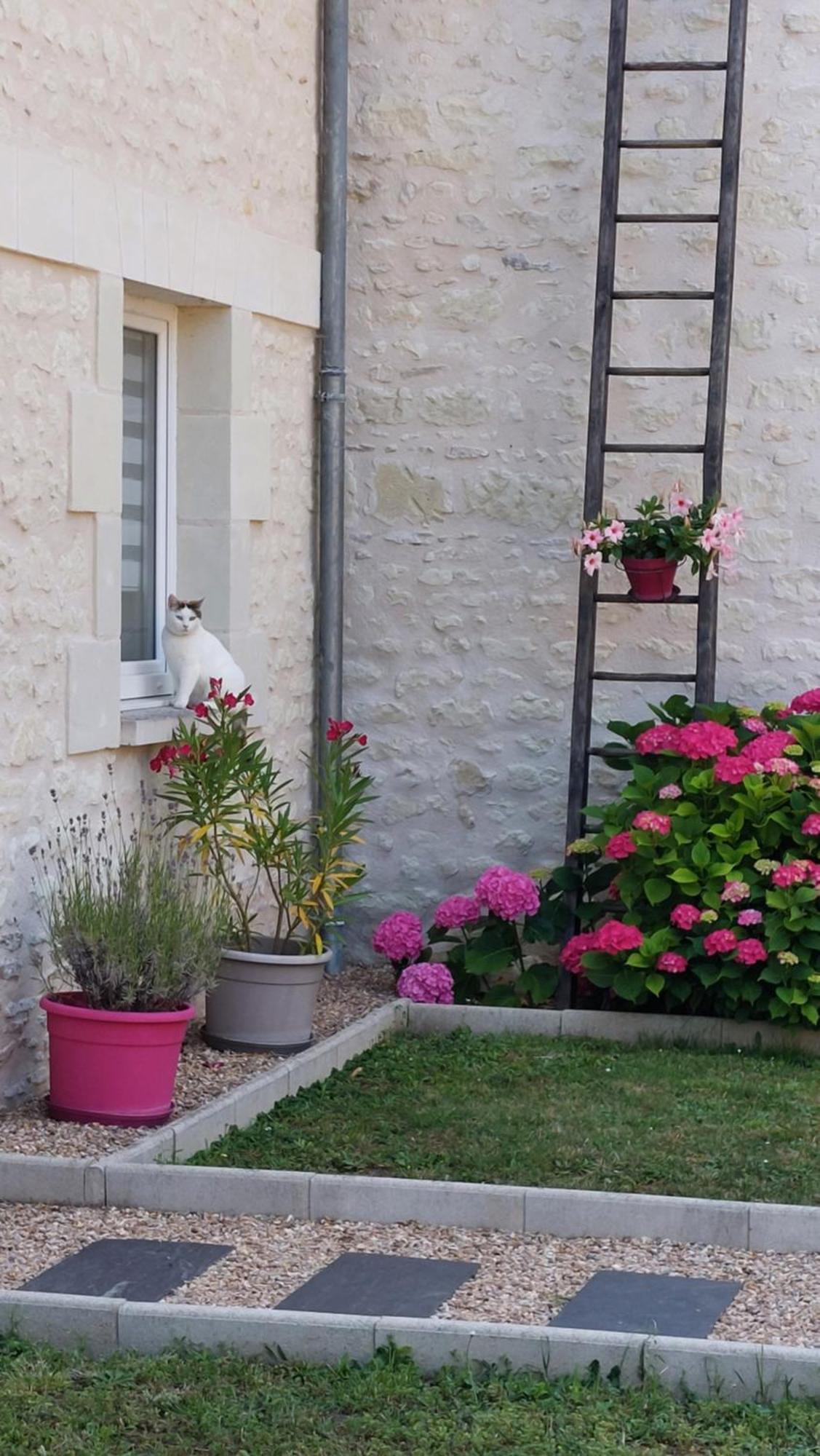 Gite Amanala Poitou Saint-Genest-d'Ambiere Extérieur photo